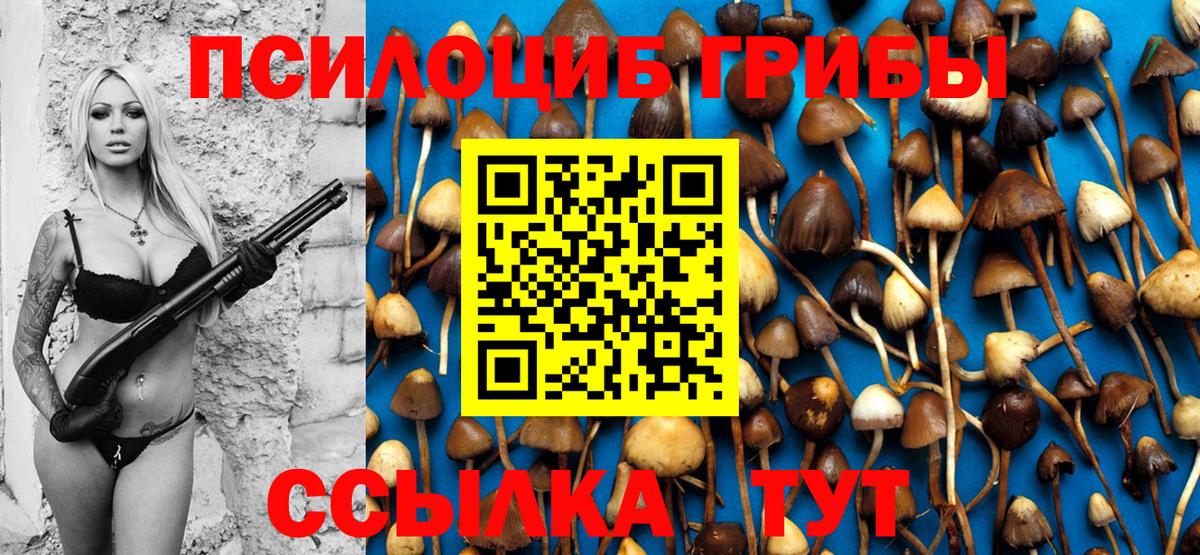 Псилоцибиновые грибы Psilocybine cubensis Курганинск