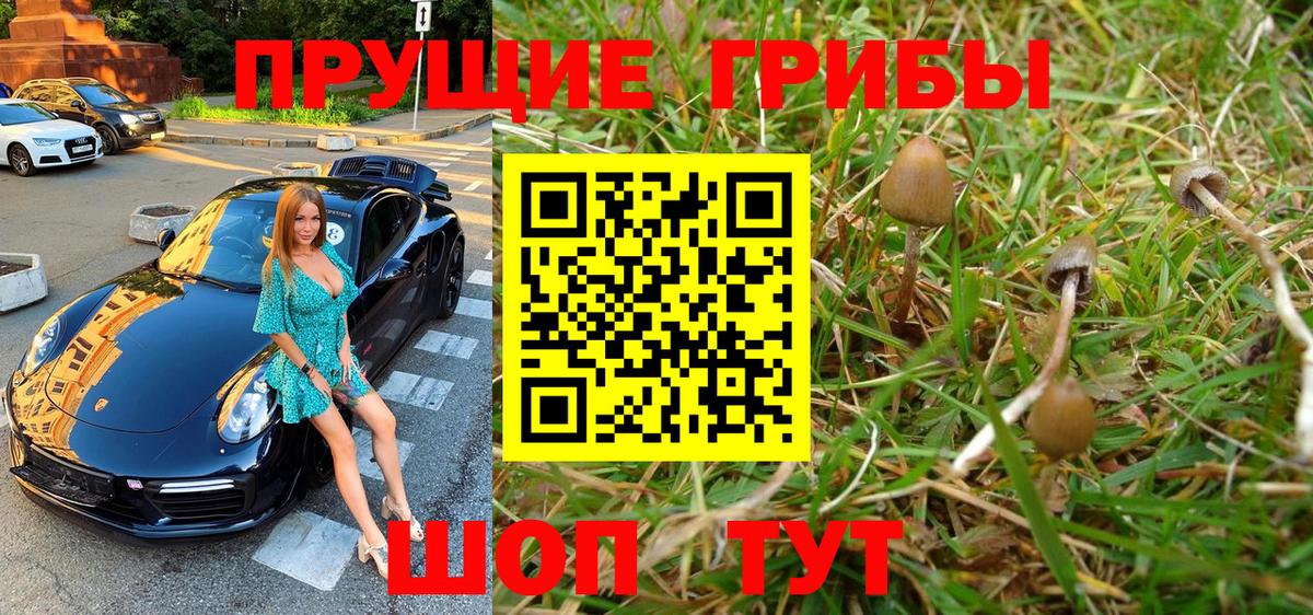 Курганинск  Галлюциногенные грибы Psilocybine cubensis  Вход с VPN  Псилоцибиновые грибы мицелий 